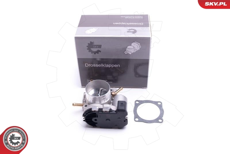 Throttle Body